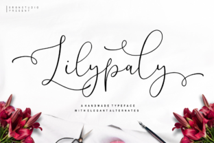 Exploring Lilypaly: An Elegant Font for Modern Design
