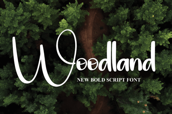 Woodland: The Bold Typeface for Impactful Designs